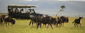 Maasai mara day tours