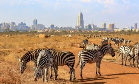 Where to stay in Nairobi