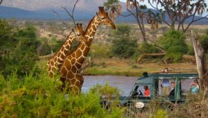 top places to visit in Samburu