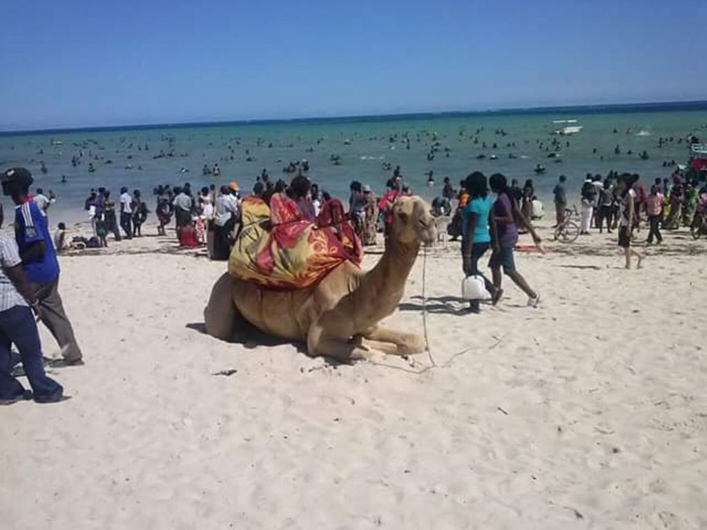 Affordable Beach tour packages Mombasa