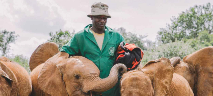 Elephant santuary Nairobi Kenya